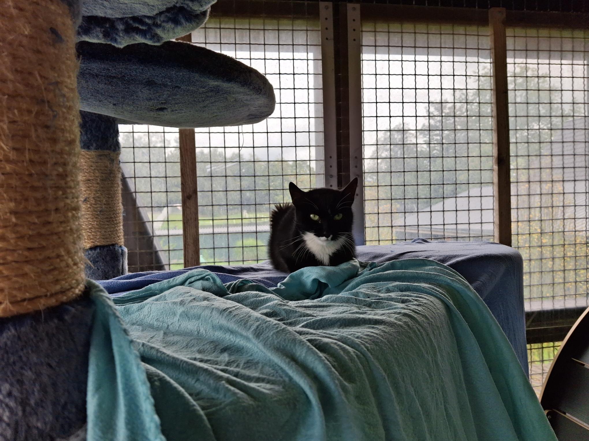 Harald_20250921_154058.jpg Harald_20250921_154058.jpg