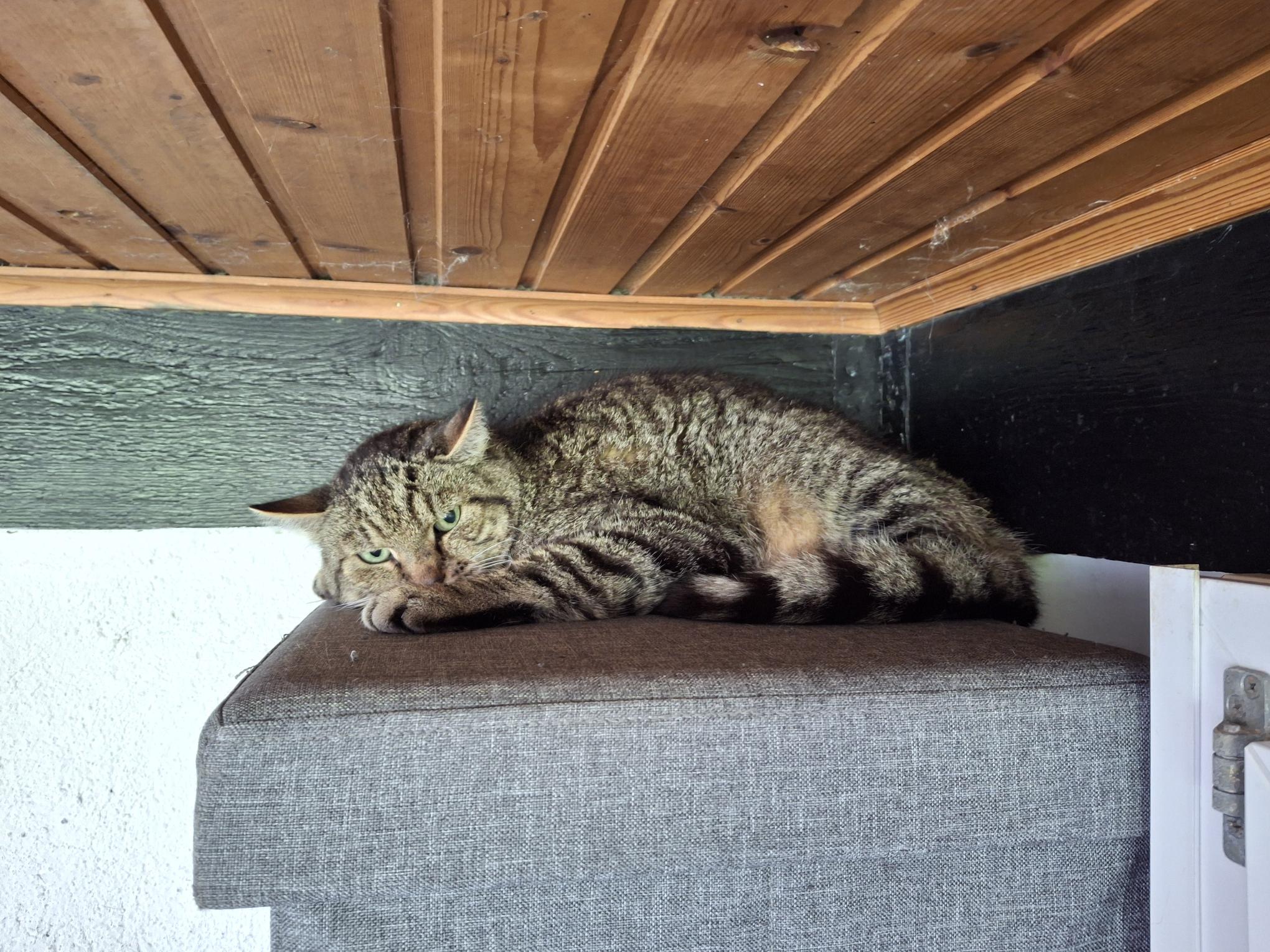 SunDeli_20250921_121209.jpg SunDeli_20250921_121209.jpg