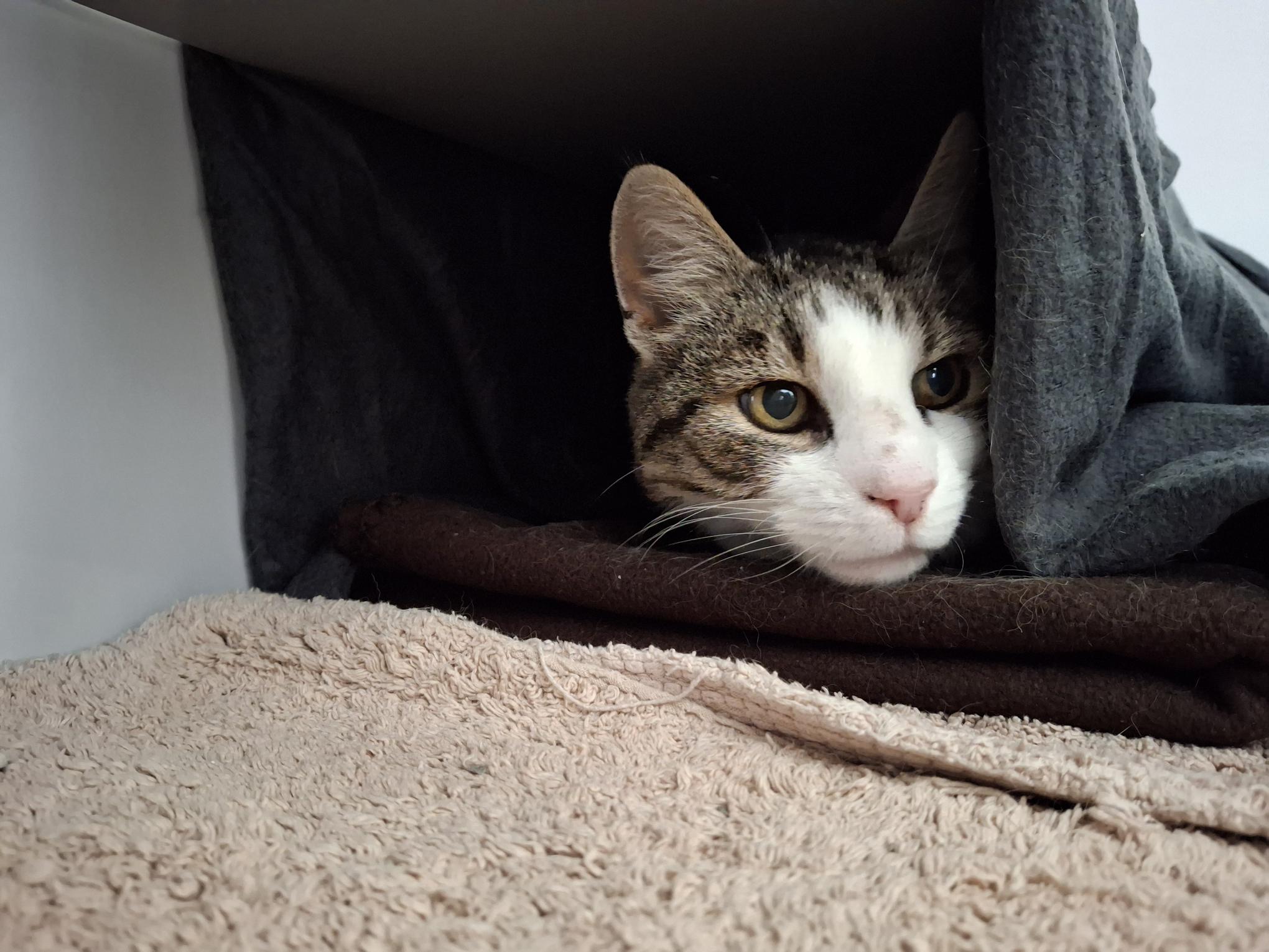 Trevis_20250921_144551.jpg Trevis_20250921_144551.jpg