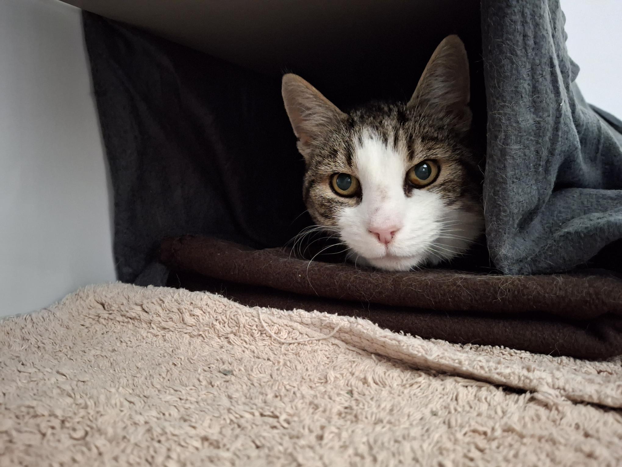 Trevis_20250921_144555.jpg Trevis_20250921_144555.jpg