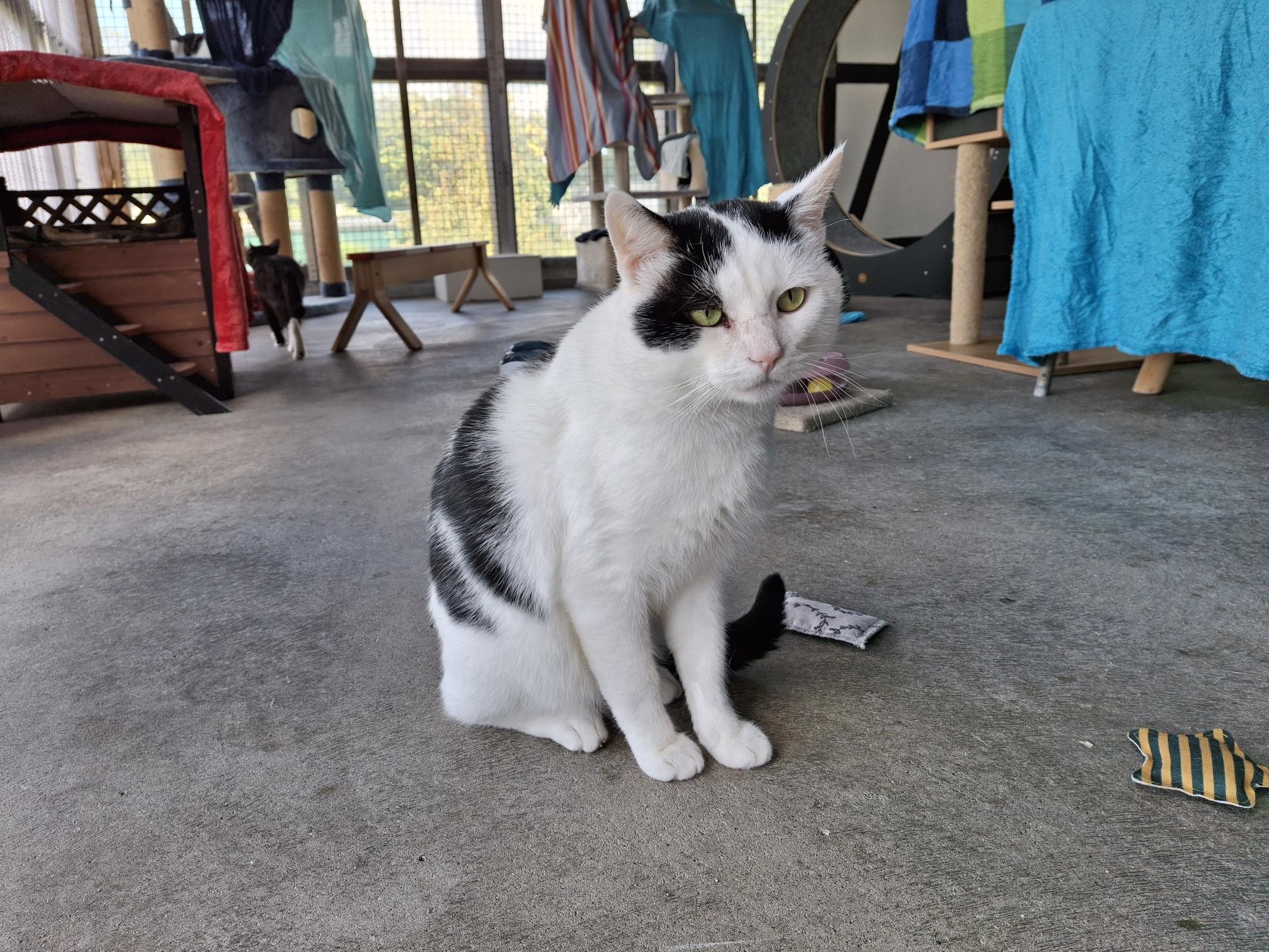 Klaus_20250914_150221.jpg Klaus_20250914_150221.jpg