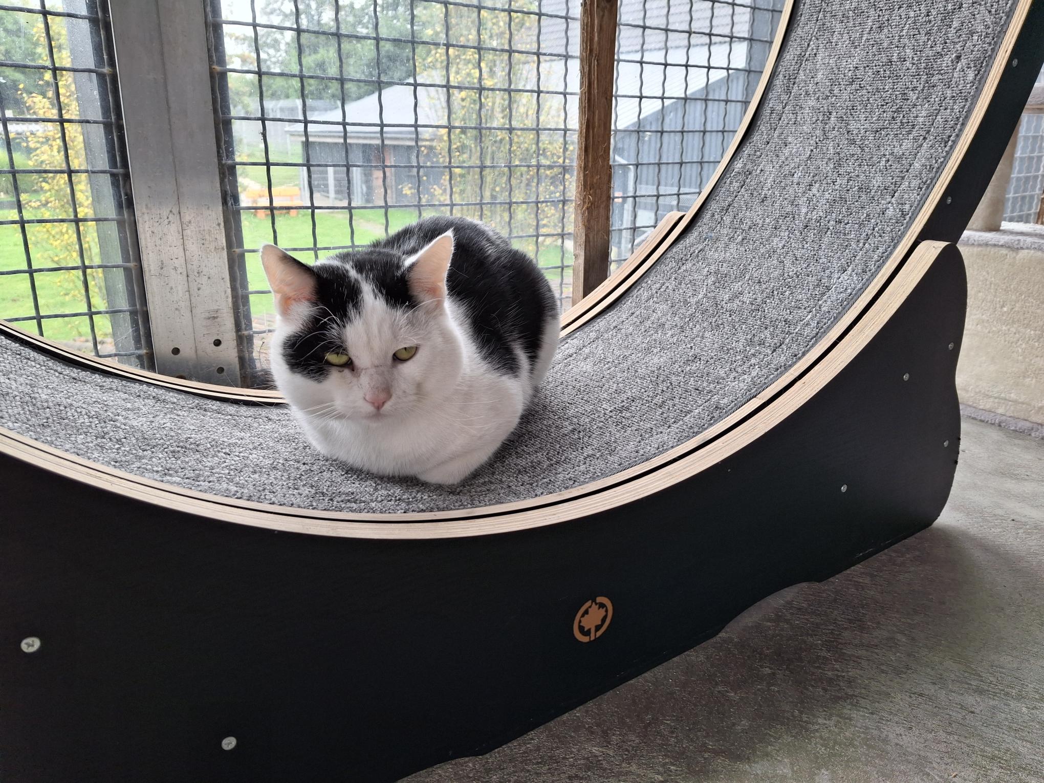 Klaus_20250921_154029.jpg Klaus_20250921_154029.jpg