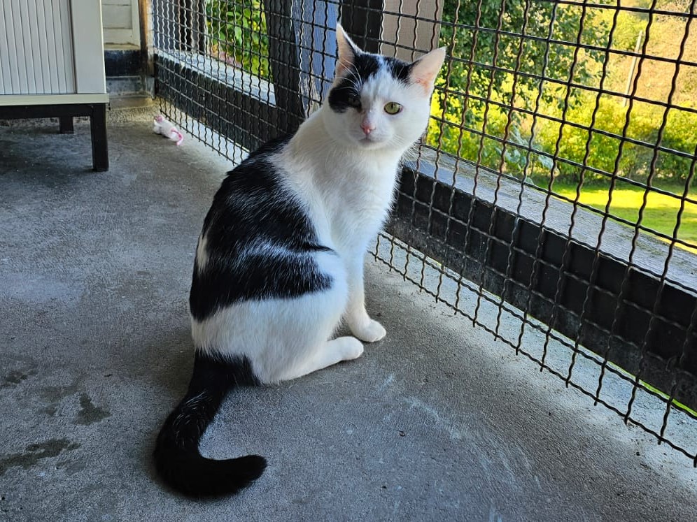 Klaus_IMG-20251001-WA0038.jpg Klaus_IMG-20251001-WA0038.jpg