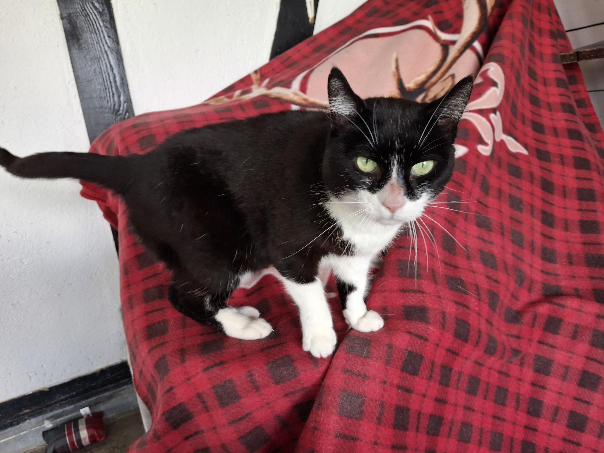 Maggi_20250914_145854.jpg Maggi_20250914_145854.jpg