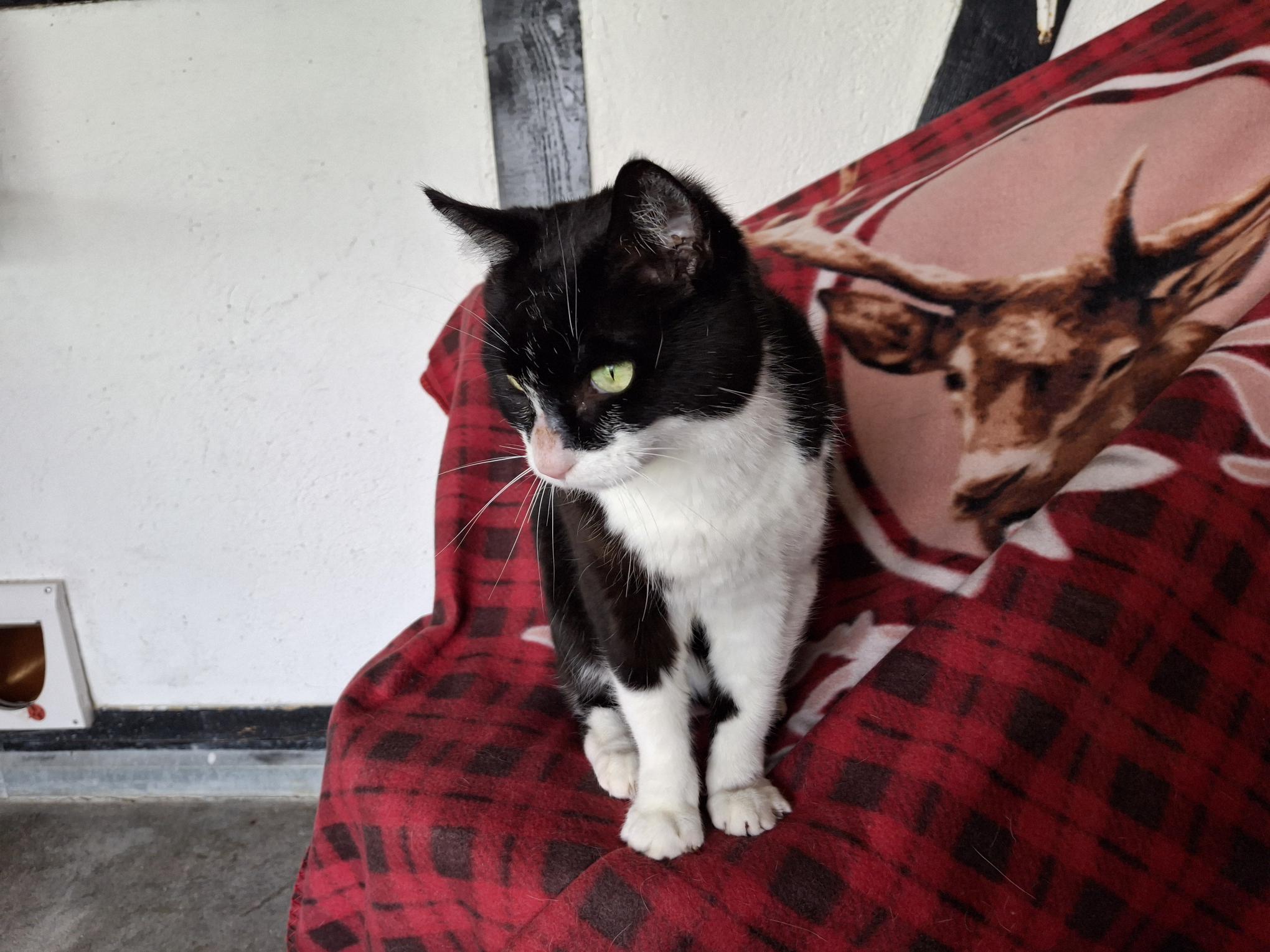 Maggi_20250914_150040.jpg Maggi_20250914_150040.jpg