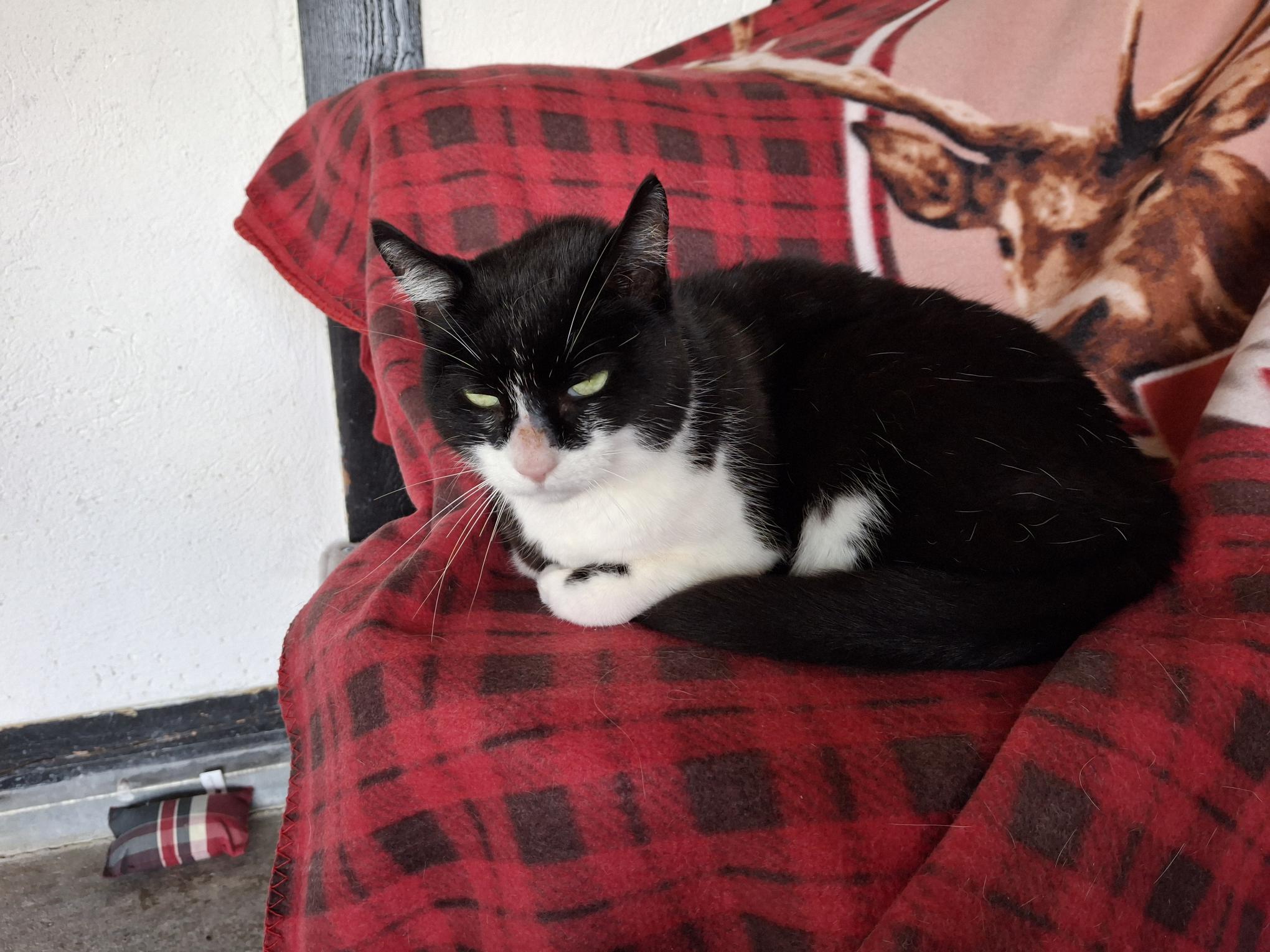 Maggi_20250914_150130.jpg Maggi_20250914_150130.jpg