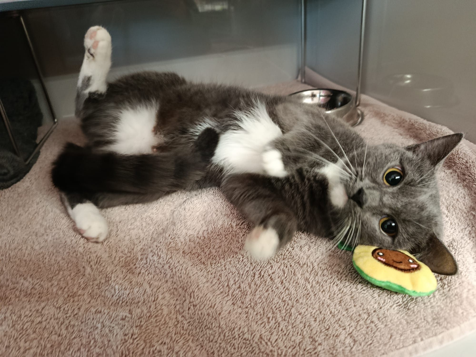 Parla_IMG-20251016-WA0022.jpg Parla_IMG-20251016-WA0022.jpg