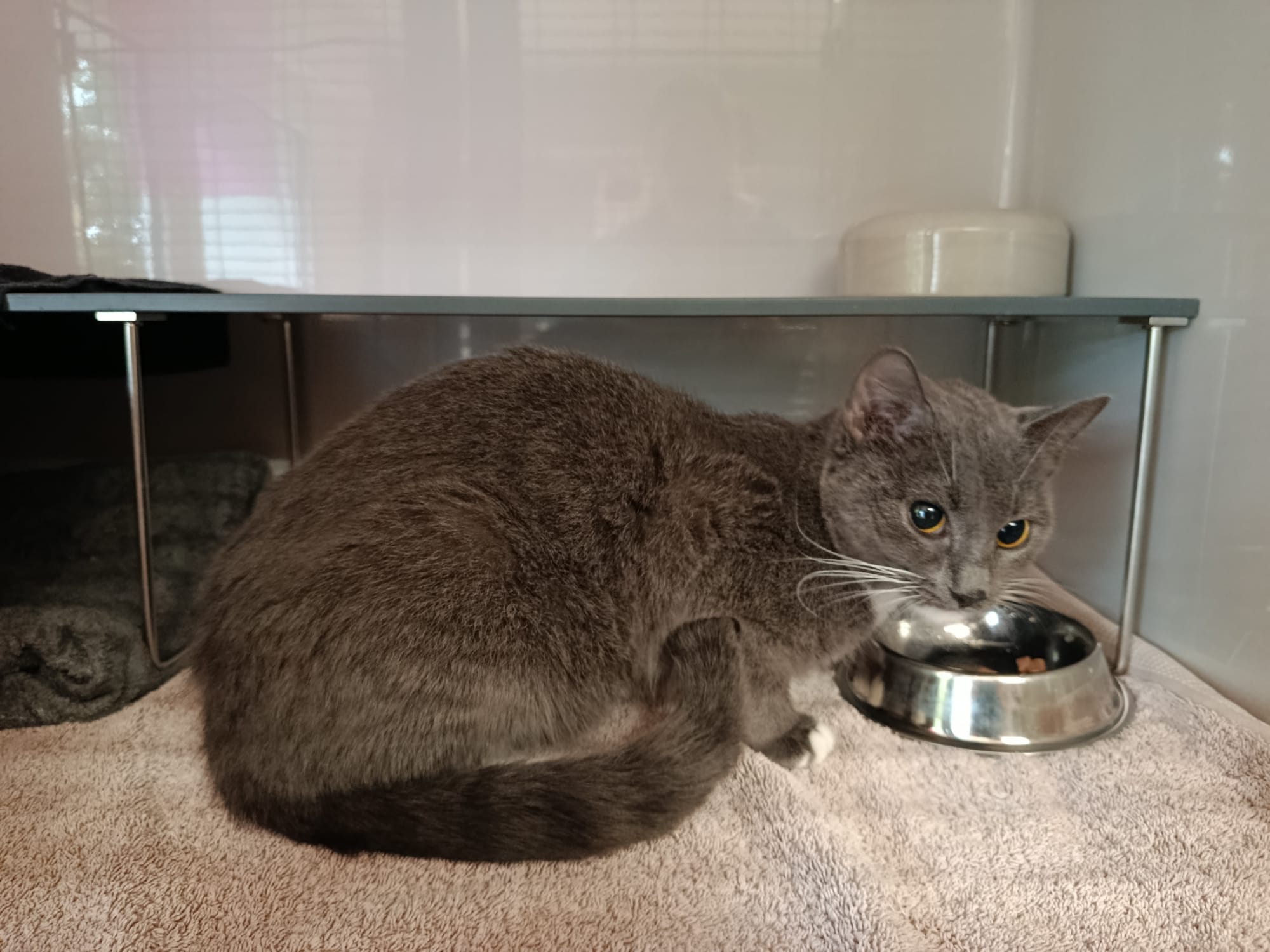 Parla_IMG-20251016-WA0023.jpg Parla_IMG-20251016-WA0023.jpg