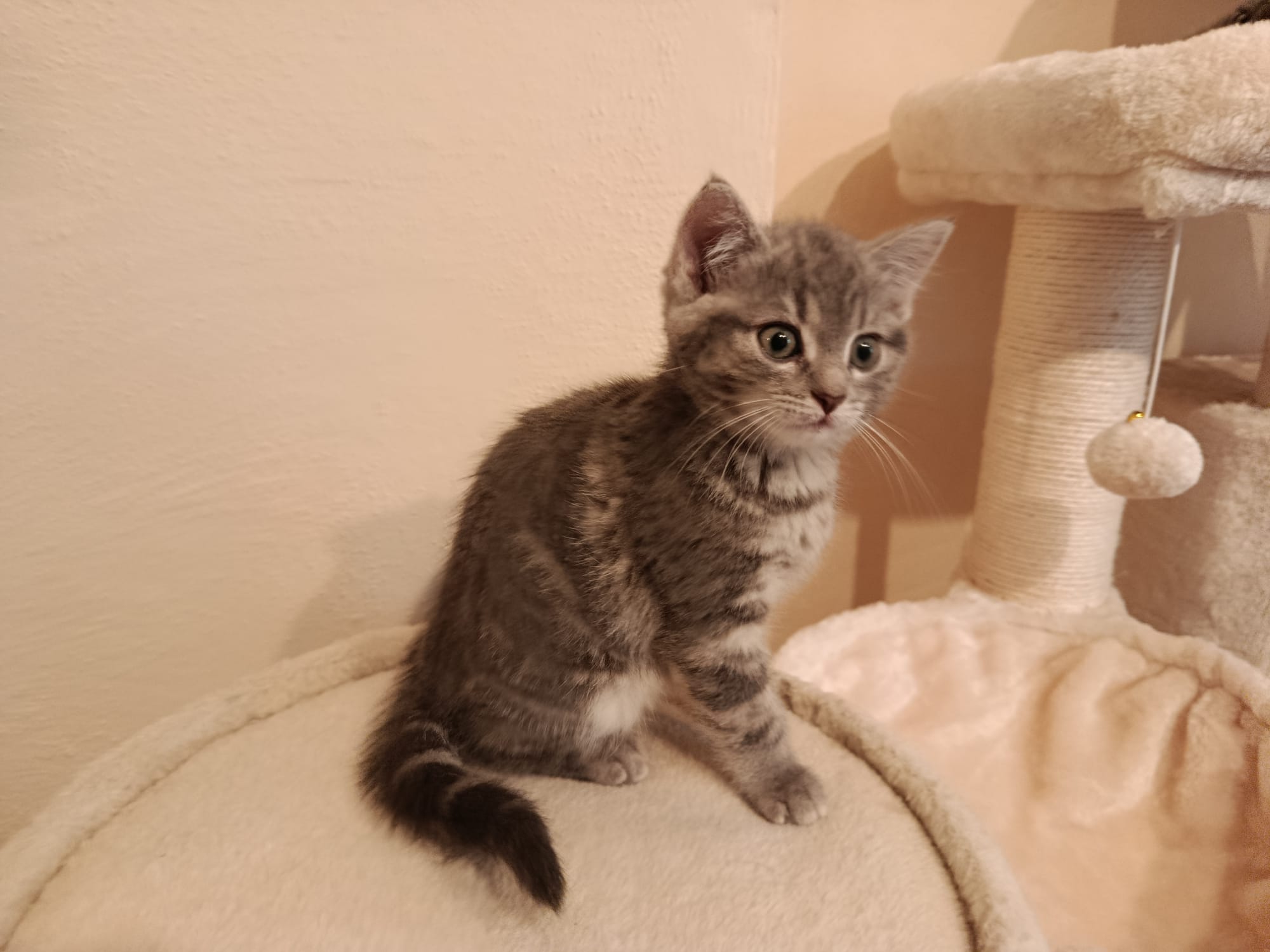 Pina_IMG-20251016-WA0065.jpg Pina_IMG-20251016-WA0065.jpg