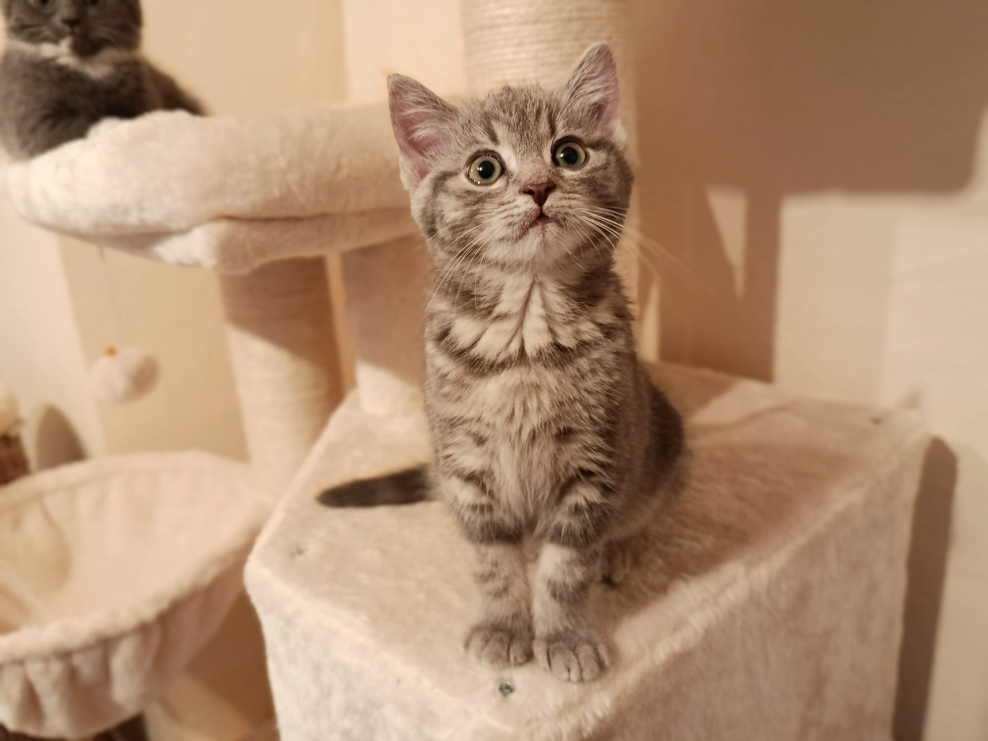 Pina_IMG-20251020-WA0013.jpg Pina_IMG-20251020-WA0013.jpg