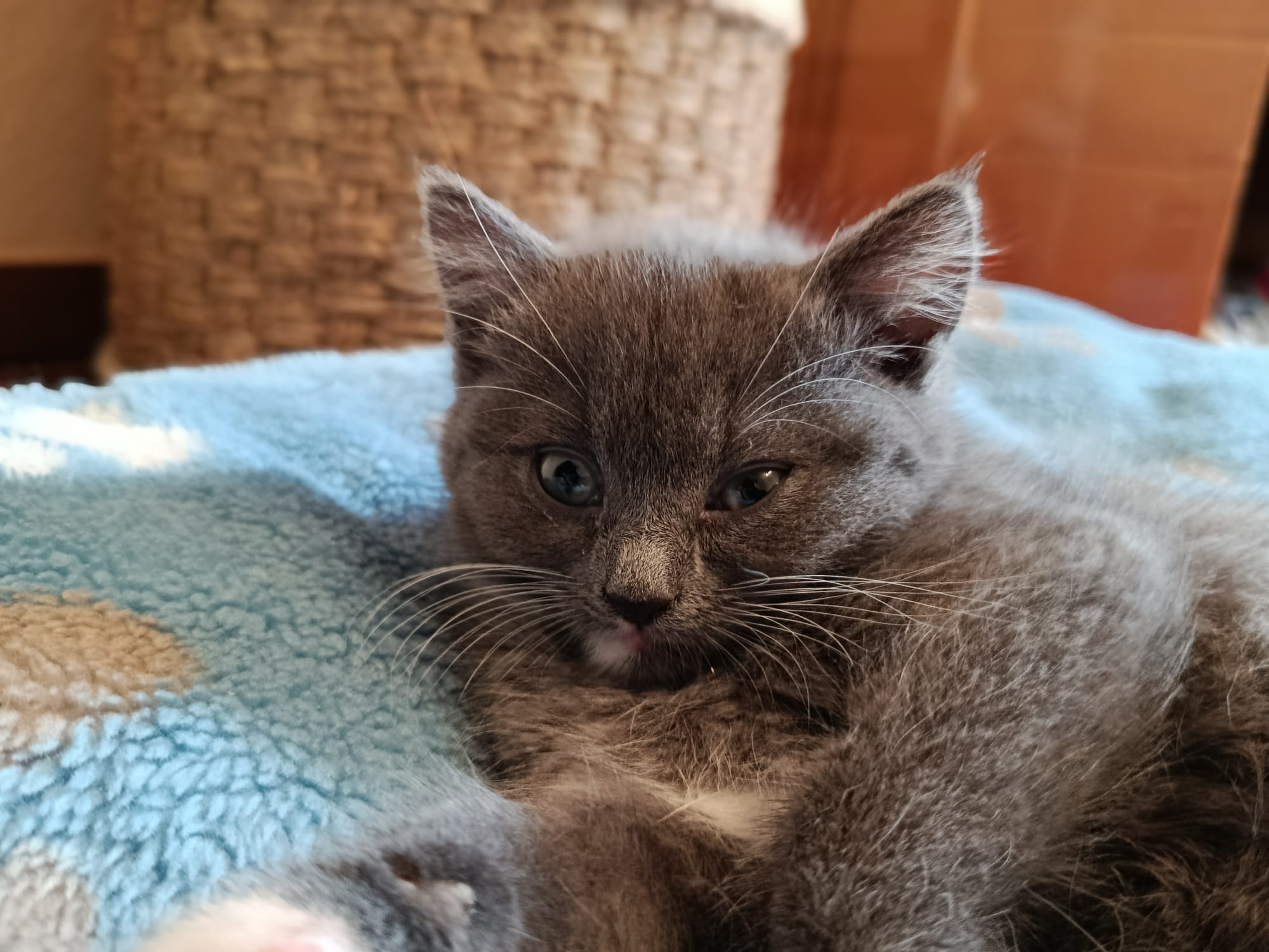 Pixi_IMG-20251016-WA0067.jpg Pixi_IMG-20251016-WA0067.jpg