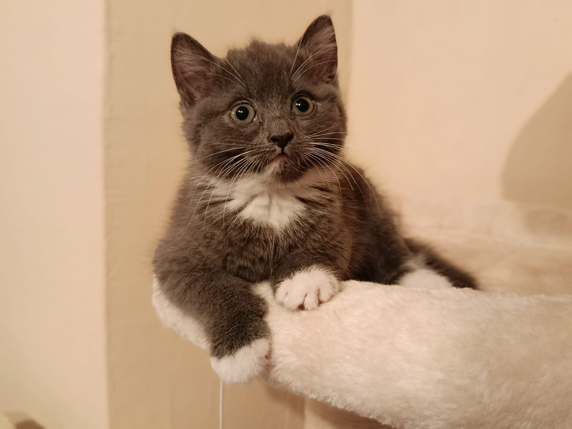 Pixi_IMG-20251020-WA0011.jpg Pixi_IMG-20251020-WA0011.jpg