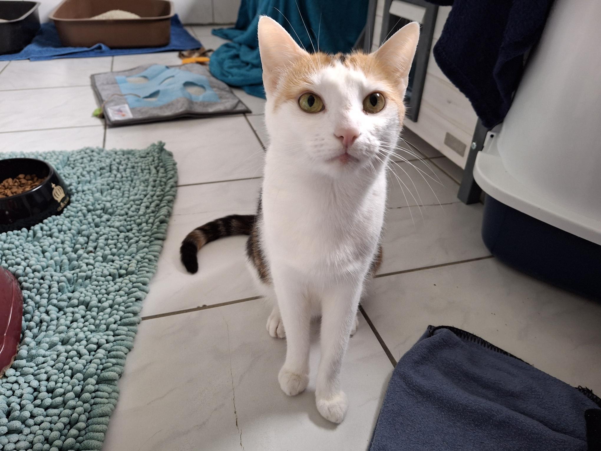 Lori_20250817_134915.jpg Lori_20250817_134915.jpg