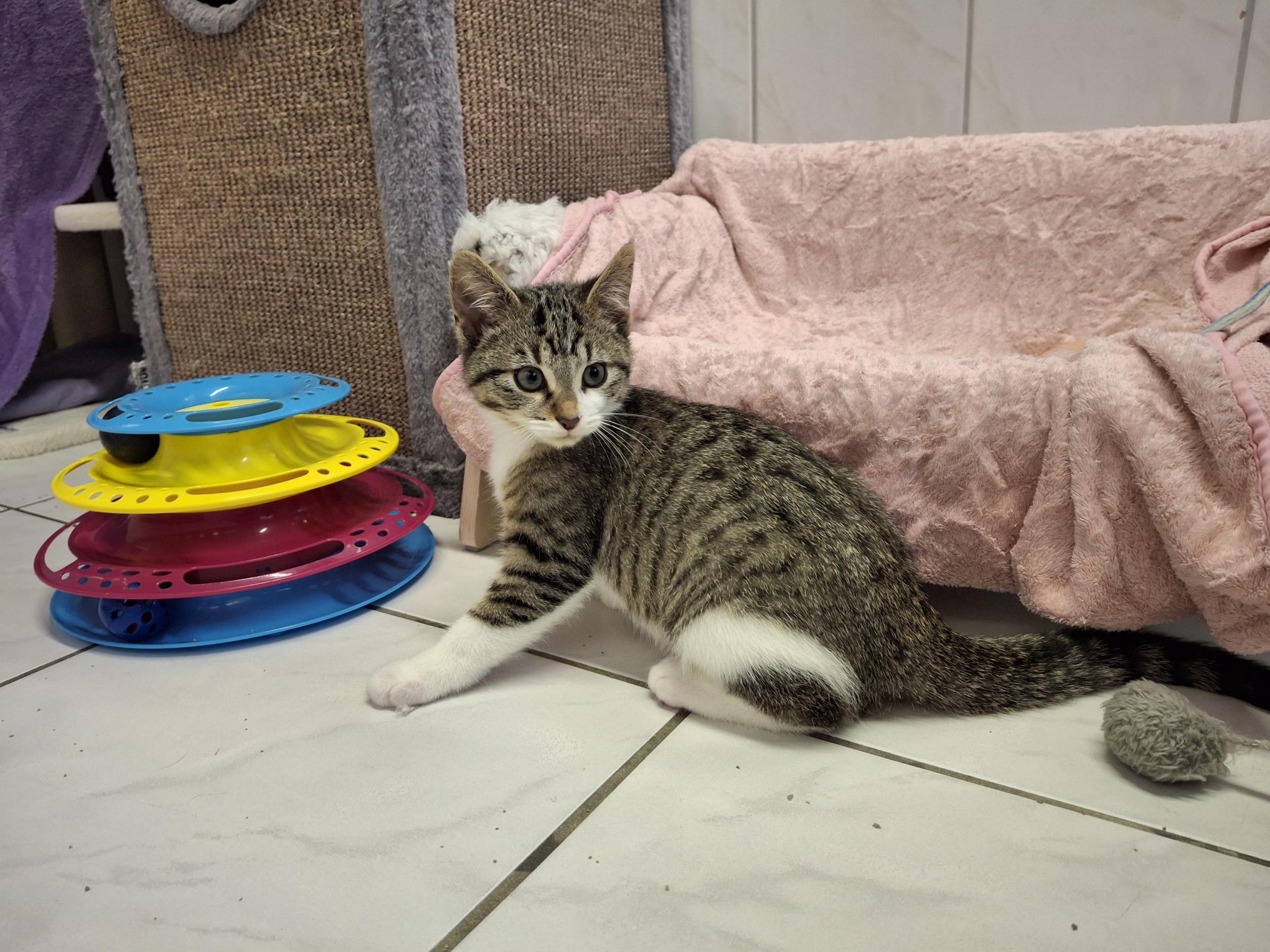 Marty_20251026_140203.jpg Marty_20251026_140203.jpg