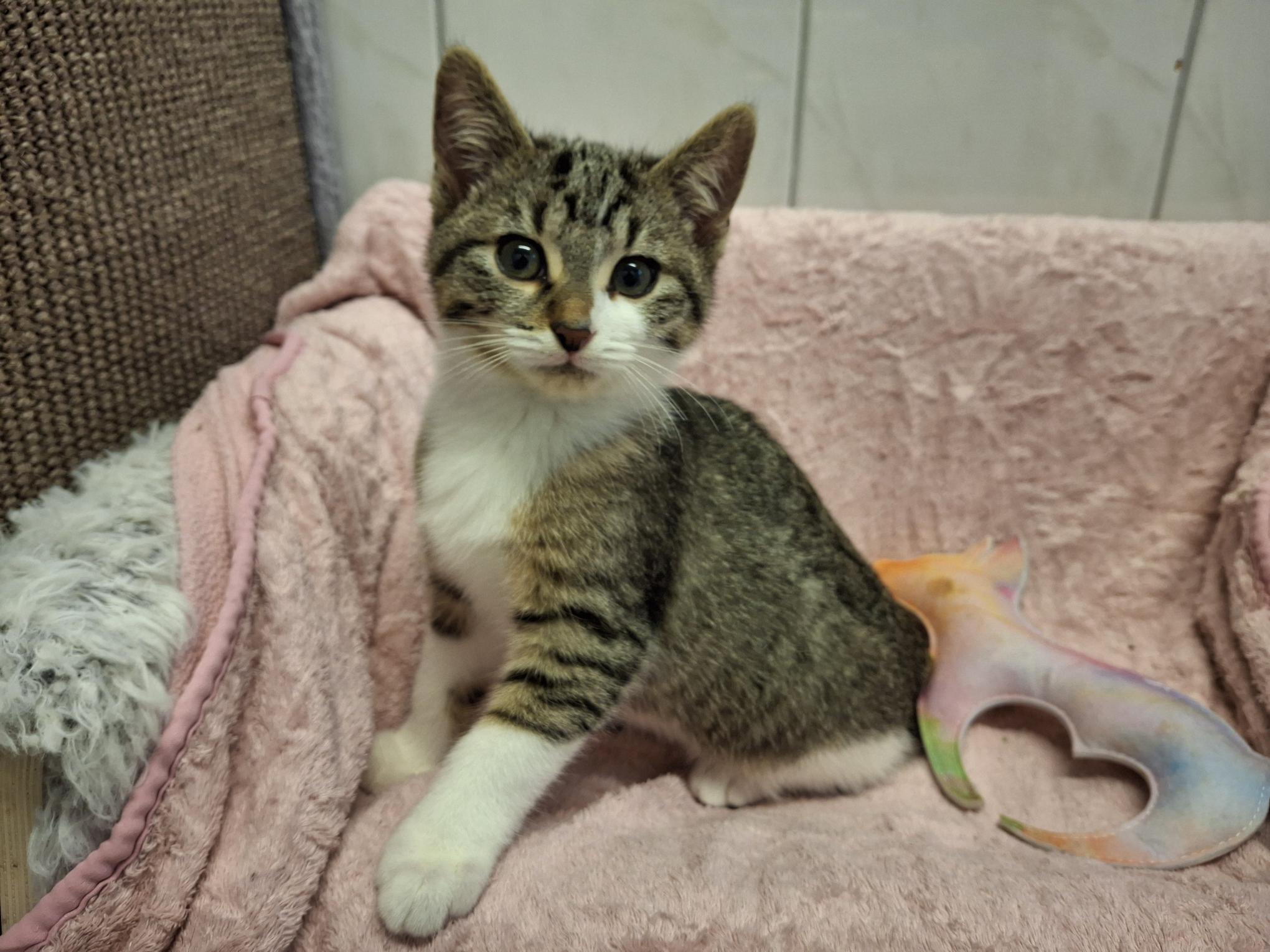 Marty_20251026_140353.jpg Marty_20251026_140353.jpg