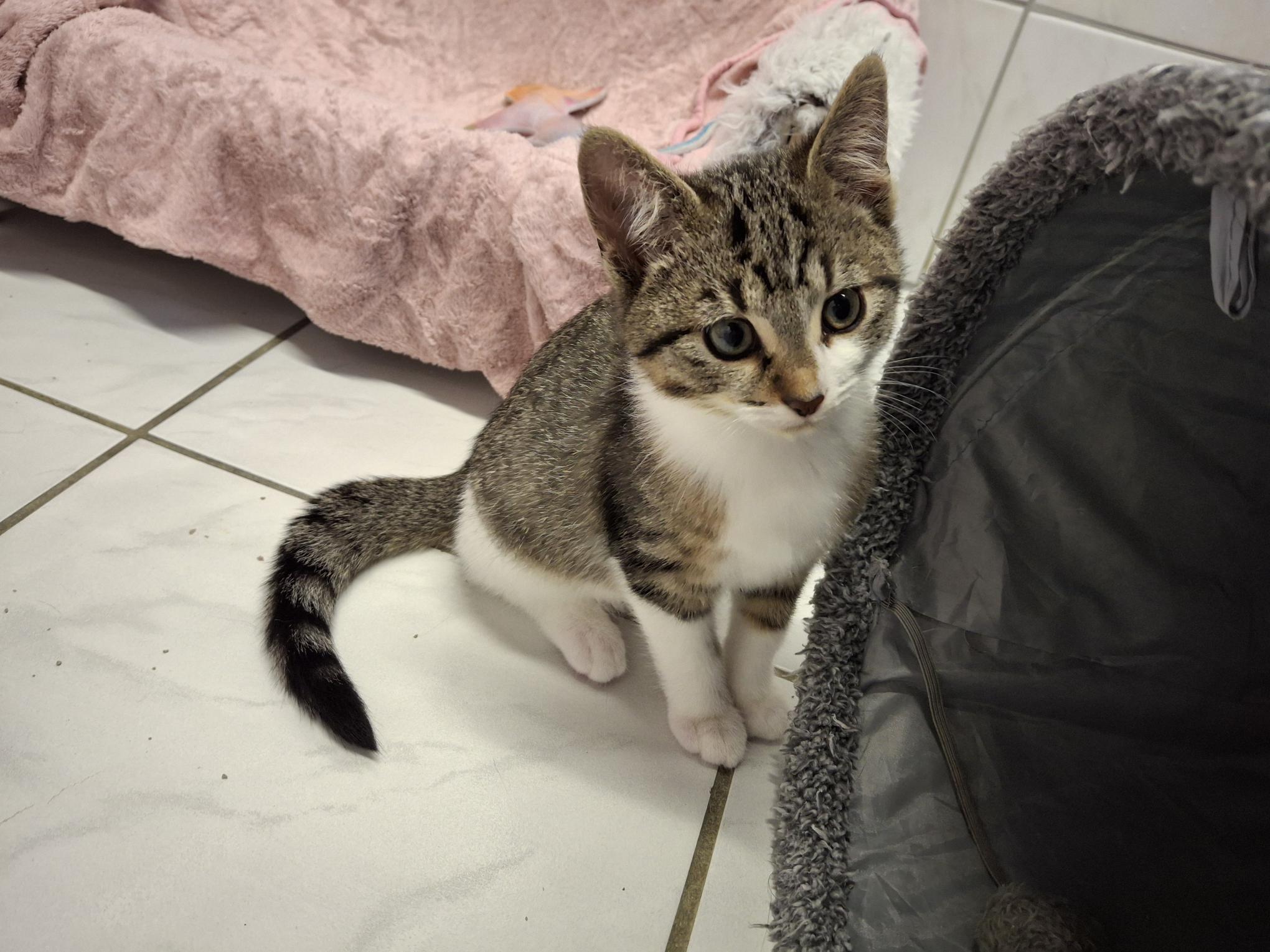 Marty_20251026_140838.jpg Marty_20251026_140838.jpg