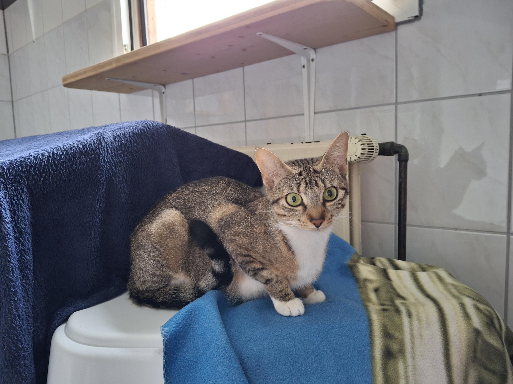 Riri_20250817_134722.jpg Riri_20250817_134722.jpg