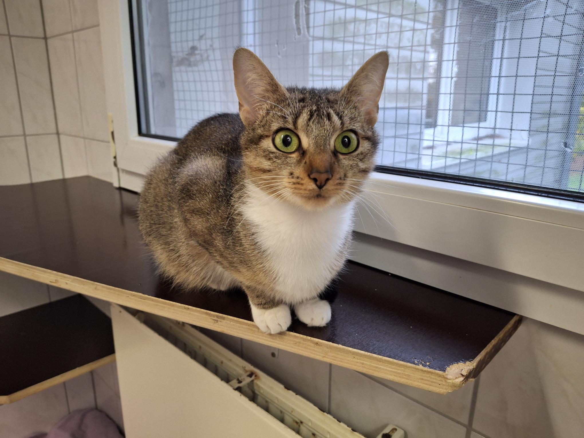 Riri_20251026_140926.jpg Riri_20251026_140926.jpg