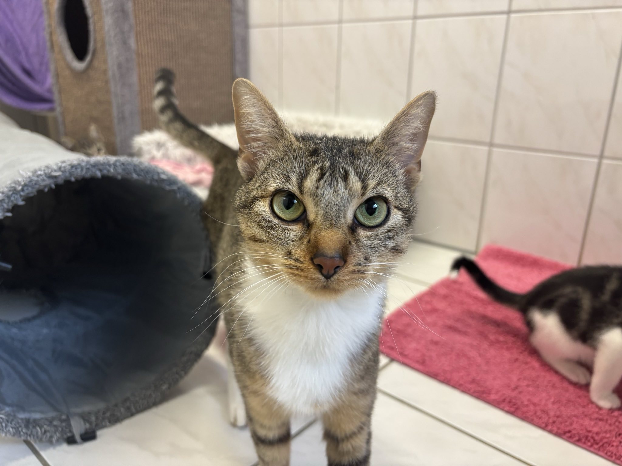 Riri_signal-2025-10-22-14-30-35-810.jpg Riri_signal-2025-10-22-14-30-35-810.jpg