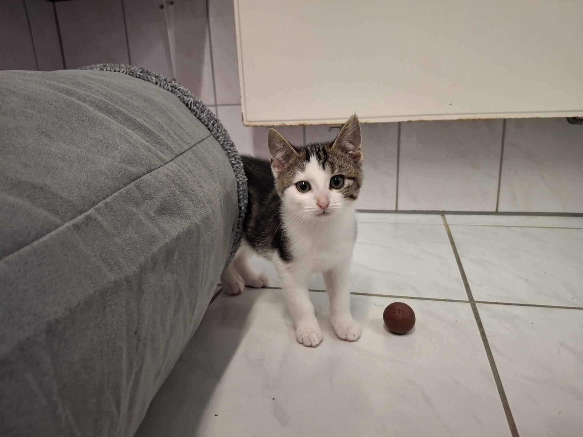 Skipper_20251026_140156.jpg Skipper_20251026_140156.jpg