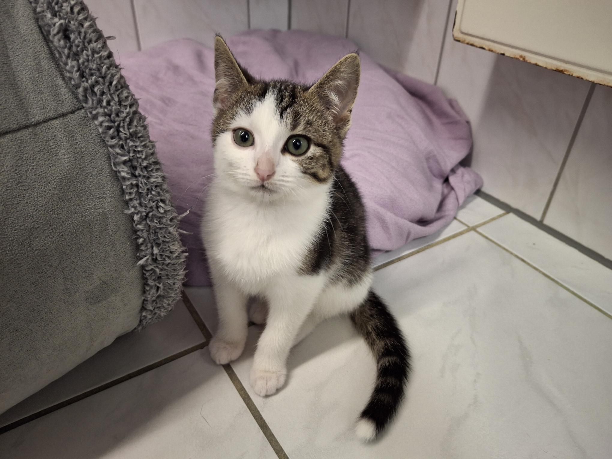 Skipper_20251026_140900.jpg Skipper_20251026_140900.jpg