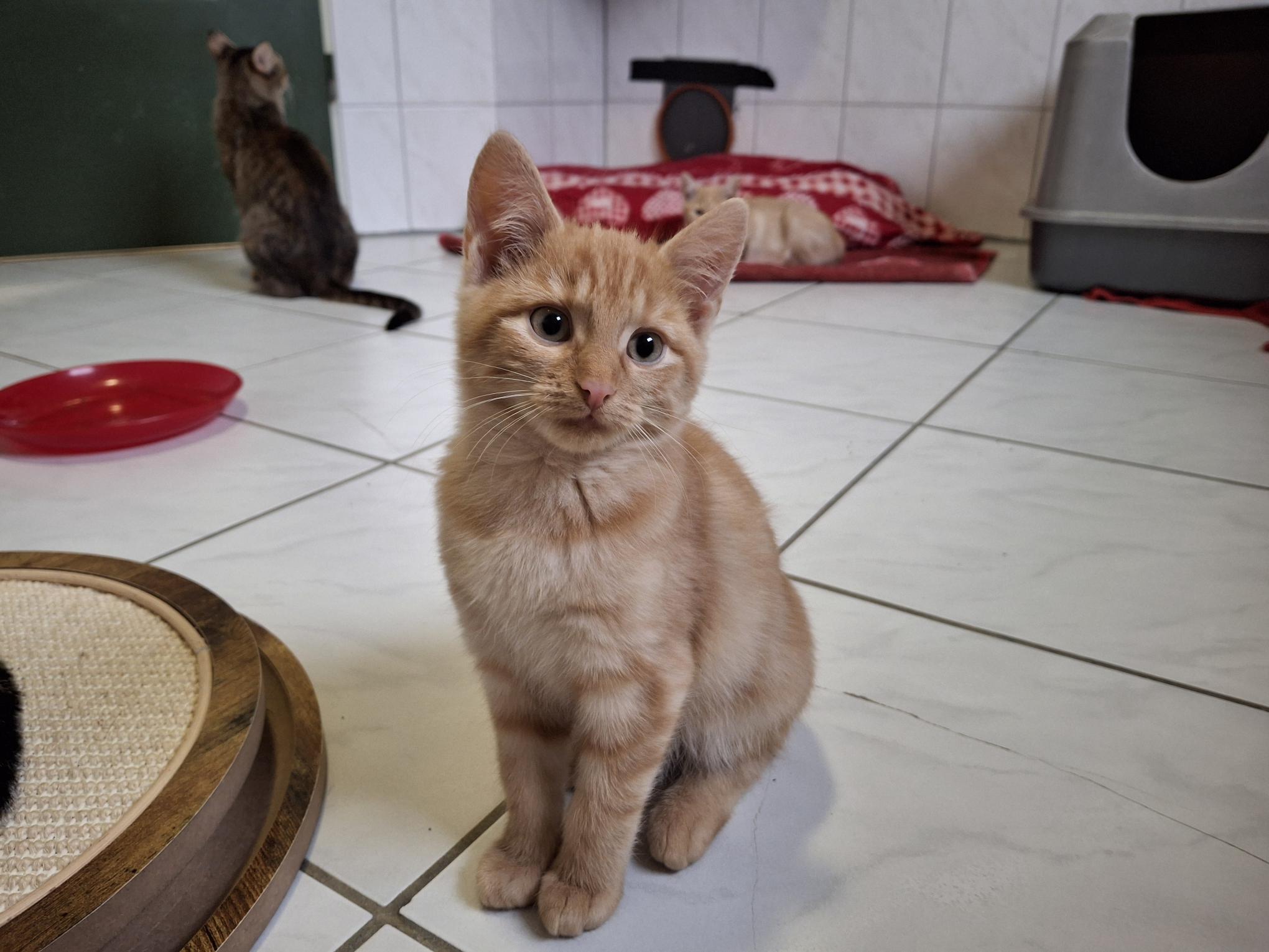 Buddy_20251026_134956.jpg Buddy_20251026_134956.jpg