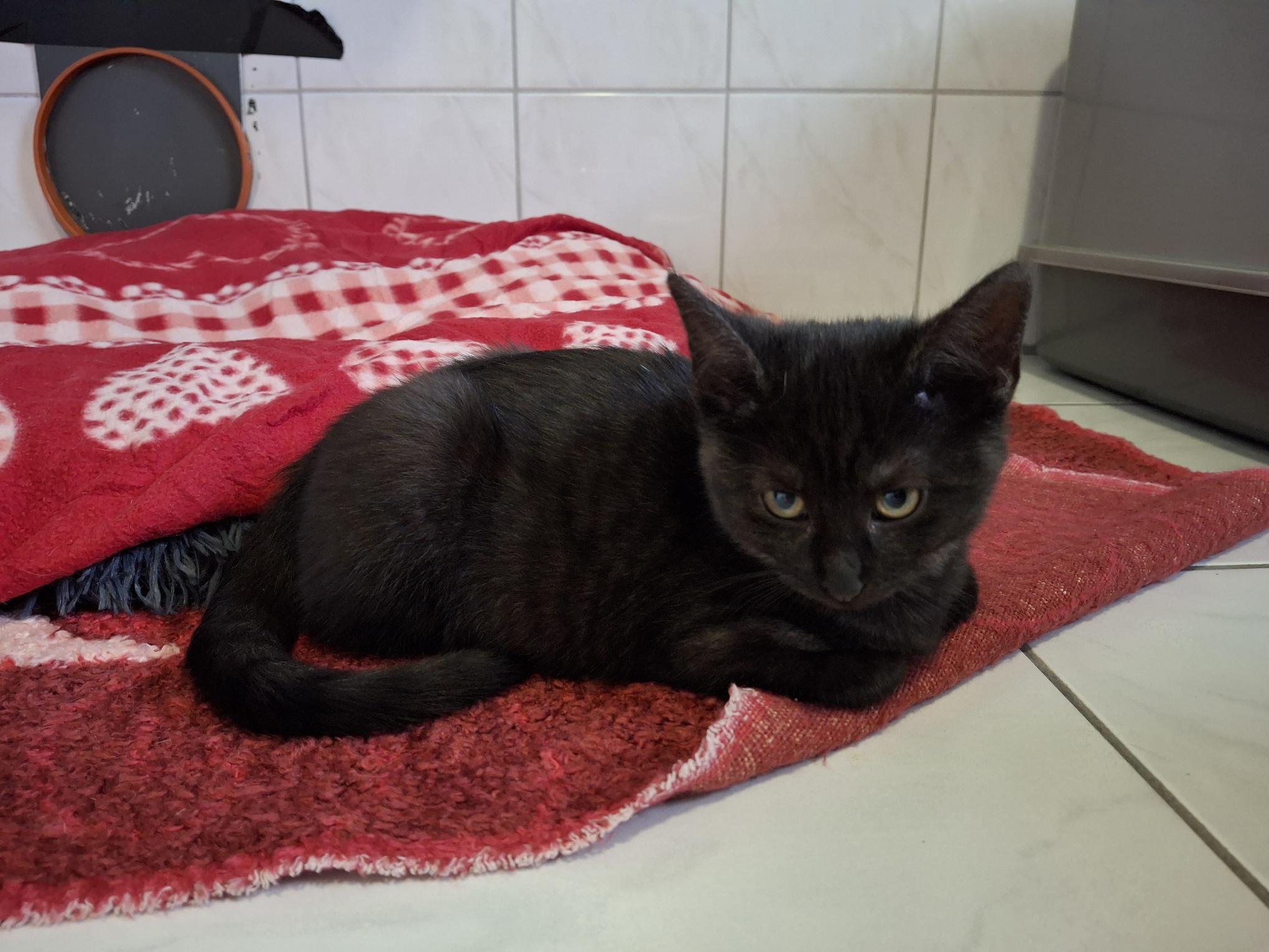 Eddy_20251026_135836.jpg Eddy_20251026_135836.jpg