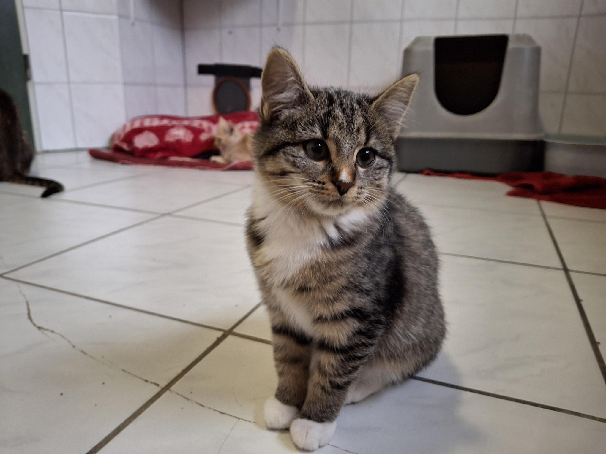 Marie_20251026_135406.jpg Marie_20251026_135406.jpg