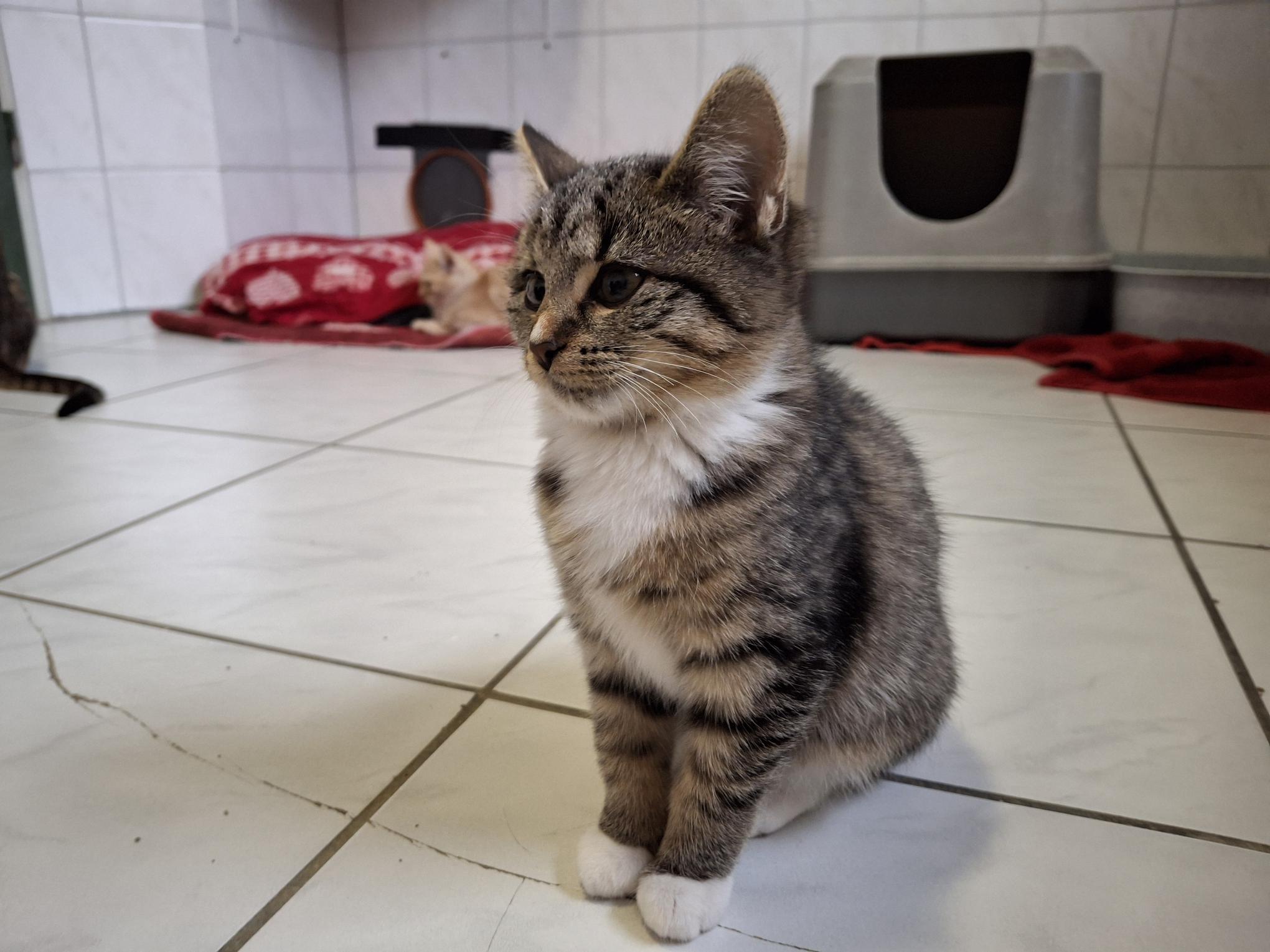 Marie_20251026_135409.jpg Marie_20251026_135409.jpg