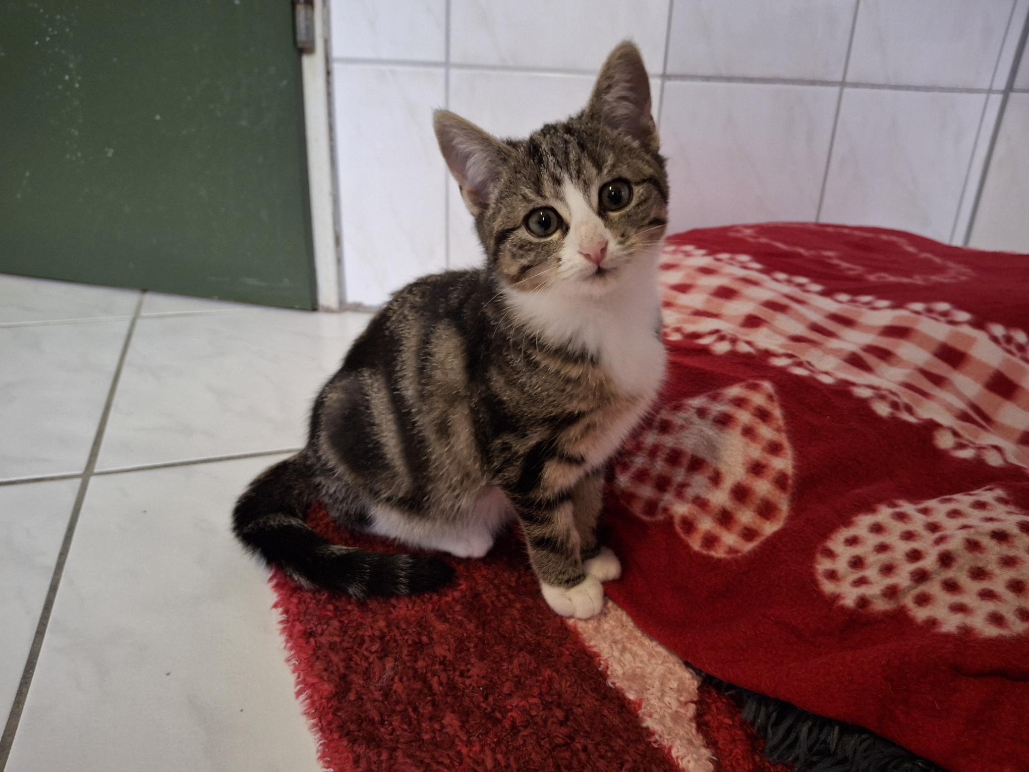 Milli_20251026_135659.jpg Milli_20251026_135659.jpg