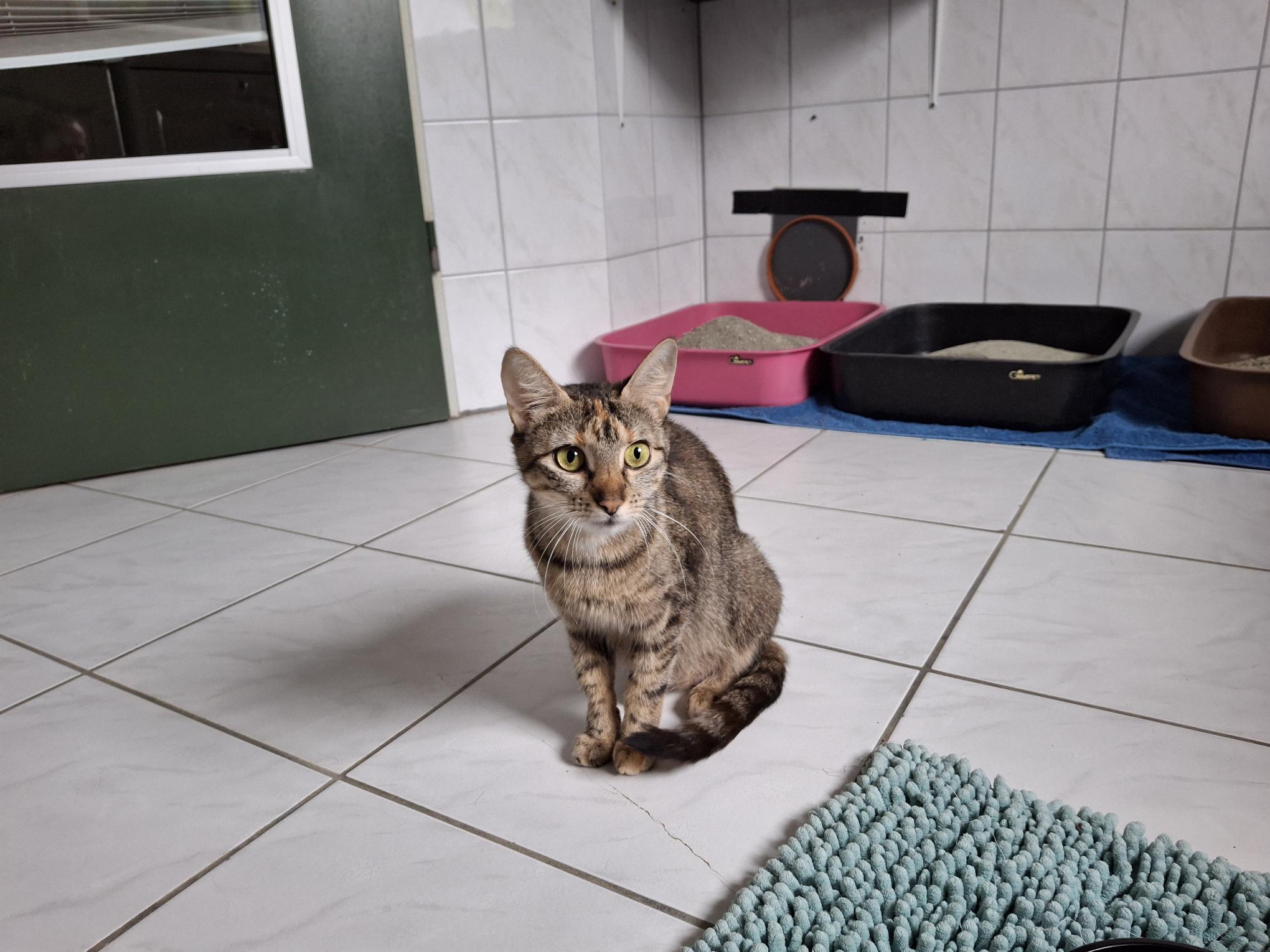 Ulla_20250817_135509.jpg Ulla_20250817_135509.jpg