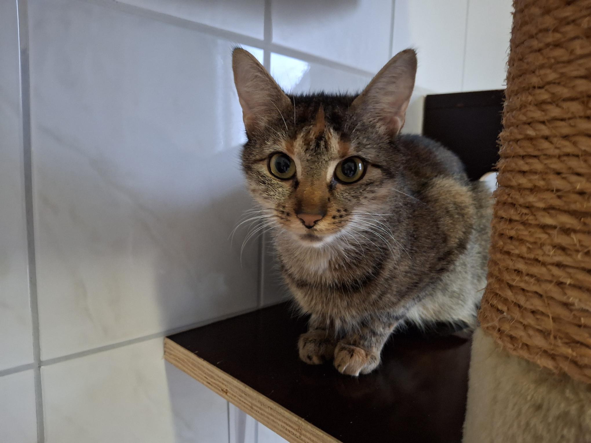 Ulla_20251026_135911.jpg Ulla_20251026_135911.jpg