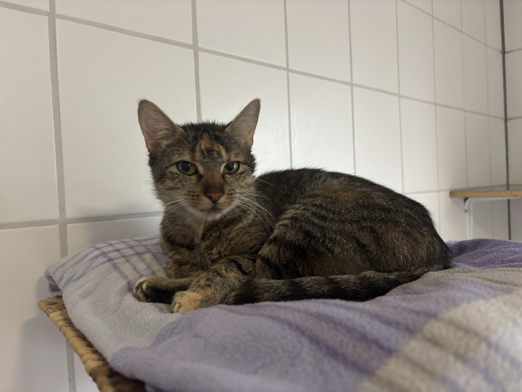 Ulla_signal-2025-10-22-14-30-54-026.jpg Ulla_signal-2025-10-22-14-30-54-026.jpg