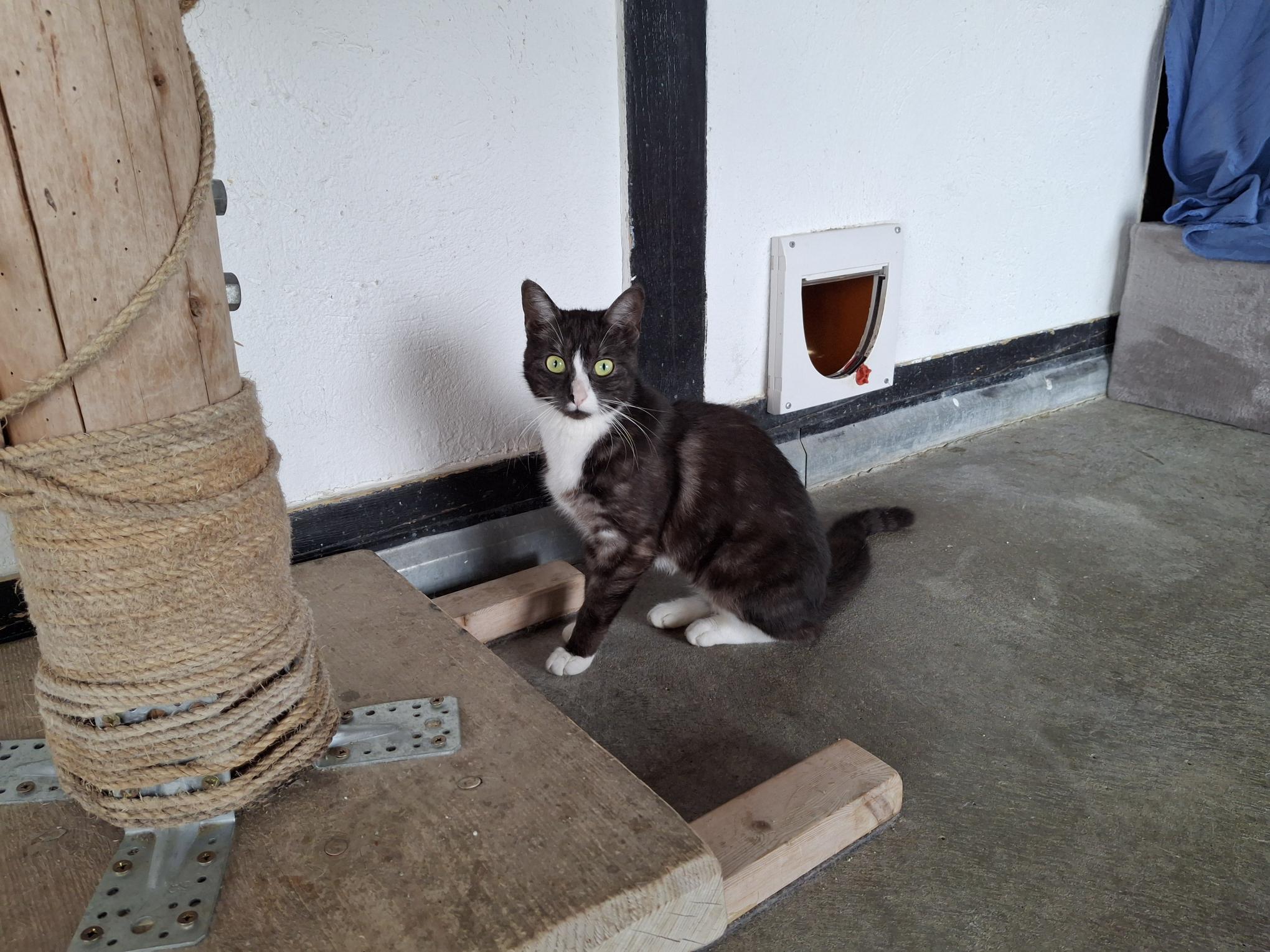 Camilla_20250827_152410.jpg