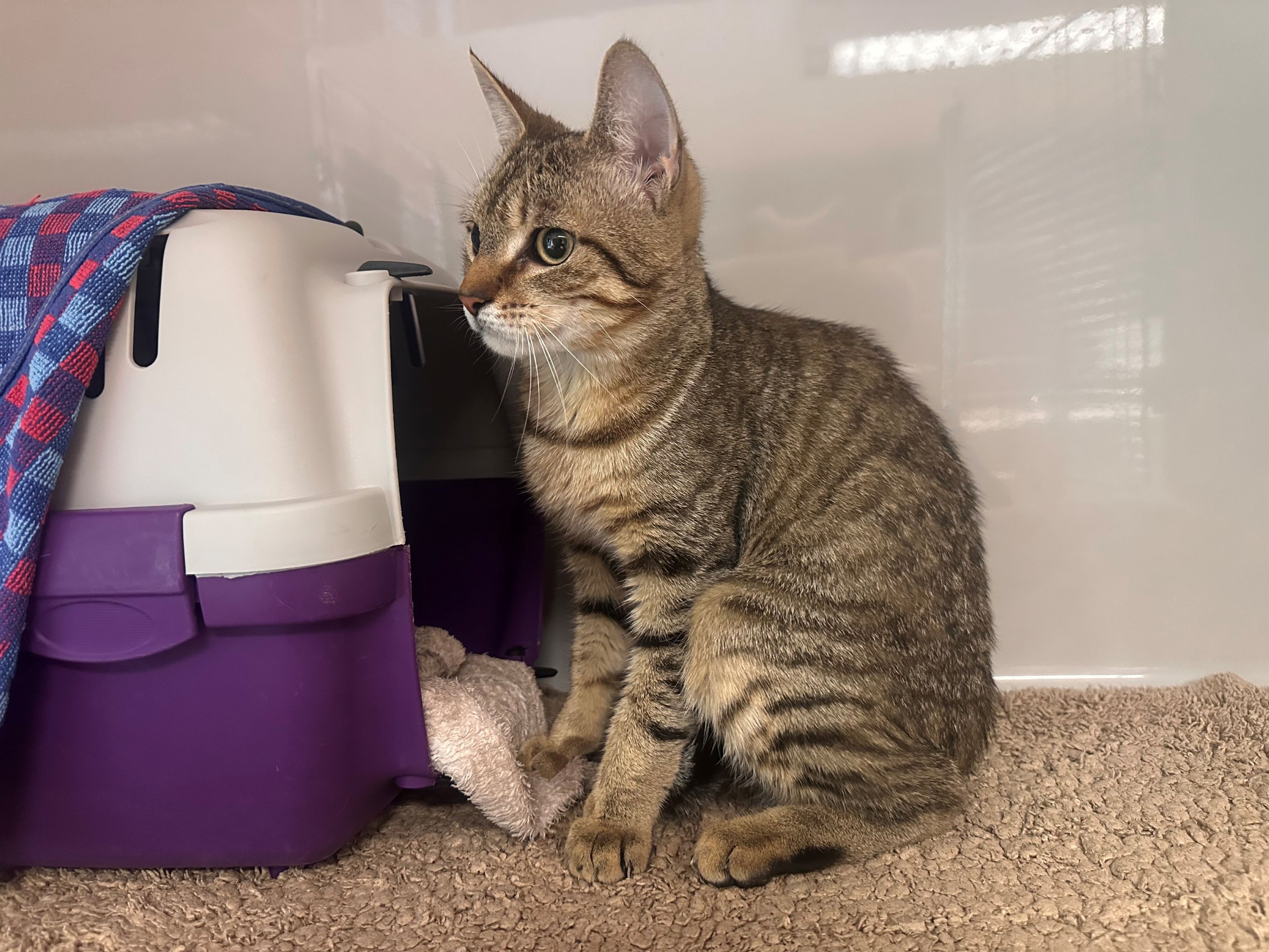 Benny_IMG_0052.jpg